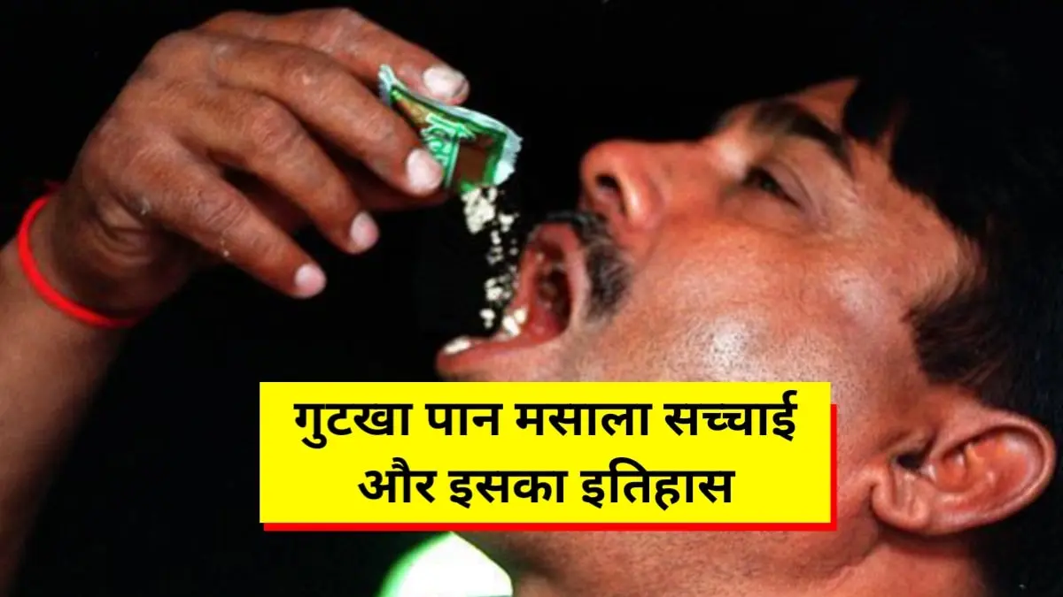 Reality of Gutkha Pan Masala: गुटखा पान मसाला की सच्चाई और इतिहास